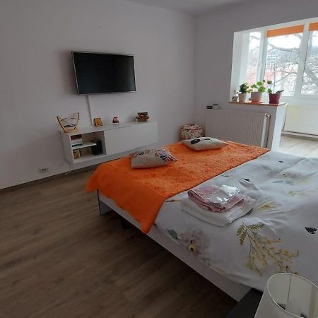 Apartament Spatios In Braşov Esterno foto