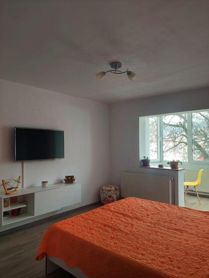 Apartament Spatios In Braşov Esterno foto