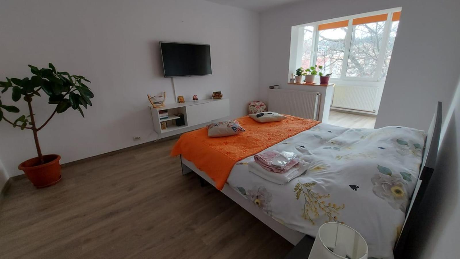 Apartament Spatios In Braşov Esterno foto