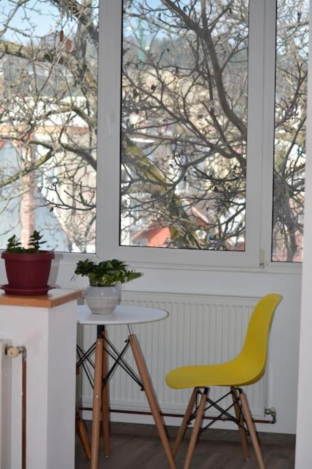Apartament Spatios In Braşov Esterno foto