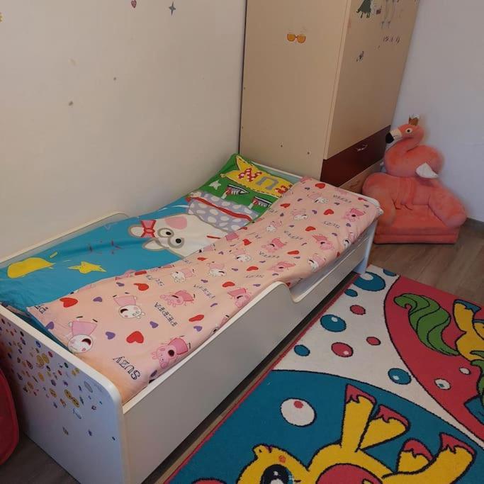 Apartament Spatios In Braşov Esterno foto