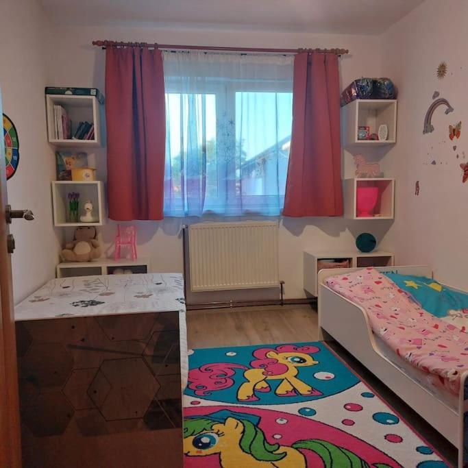 Apartament Spatios In Braşov Esterno foto